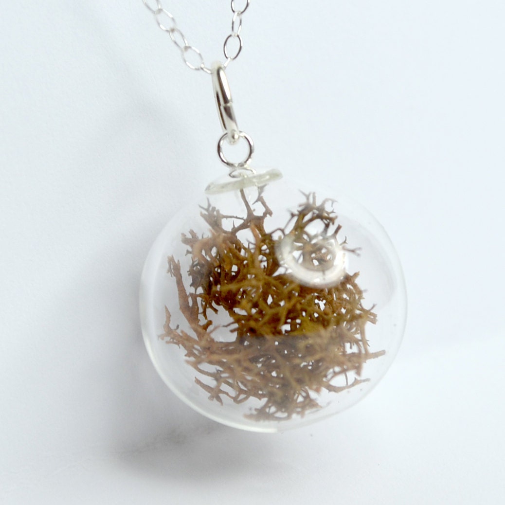 Brown dried natural moss in clear hand blown glass beads silver plated pendant