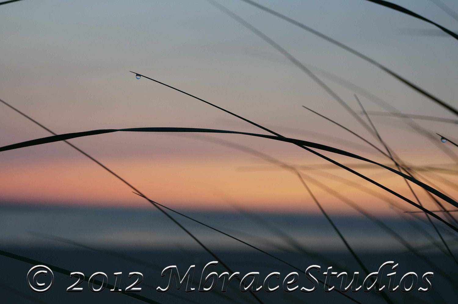 Soothing Dune Grass Ocean Sunrise Closeup Photograph - 5 x 7 Framed Macro photo sunrise silhouette