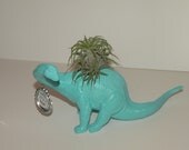 Baby blue dinosaur planter with air plant and customized bottle cap.