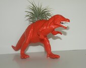 Dinosaur planter with air plant included.