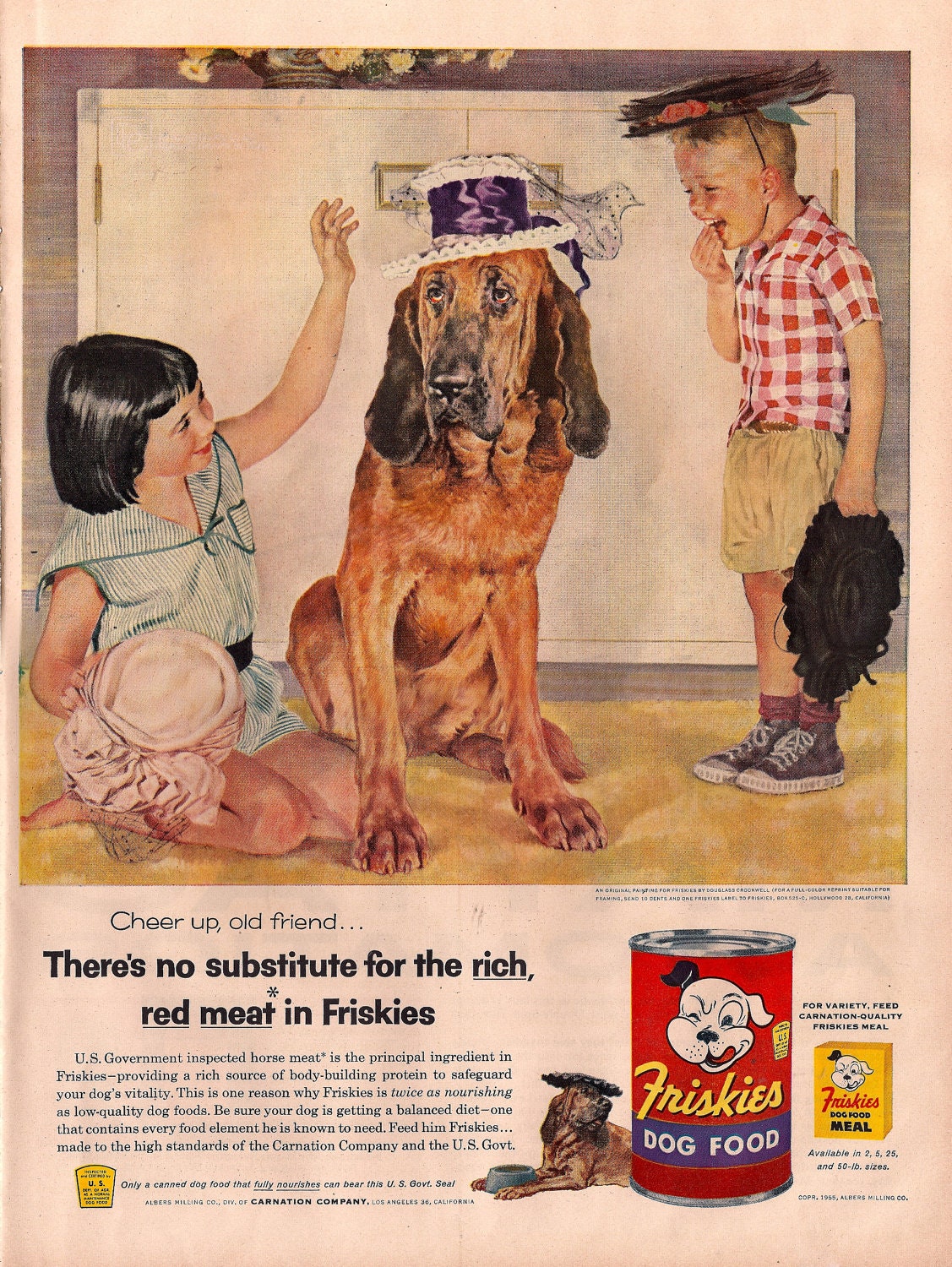 Dog Food Advertisements