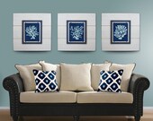 Coral Wall Art Set of 3 White Framed 8x10 xtra large 21X21