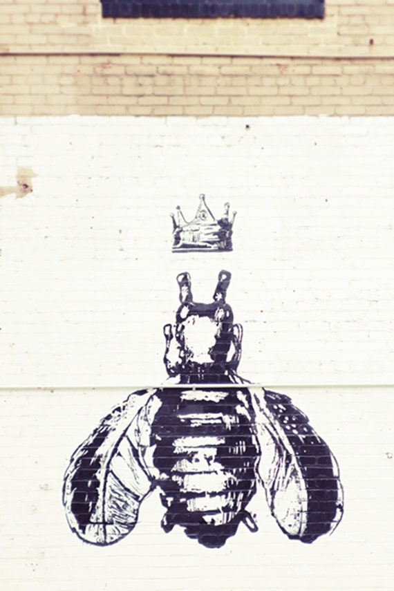 Graffiti Photography - Queen Bee brick wall photography, gifts for women, painted brick, 8x10 wall art, bug photography