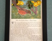 Fused Glass Story Picture "Why the Robin Hops - Then Stops"  Mosaic Fused Glass Over Vintage Book Print
