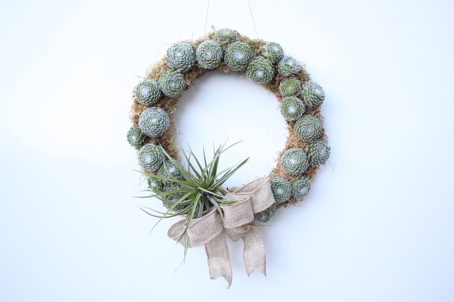 Festive Succulent Wreath with Tillandsia and Burlap Bow