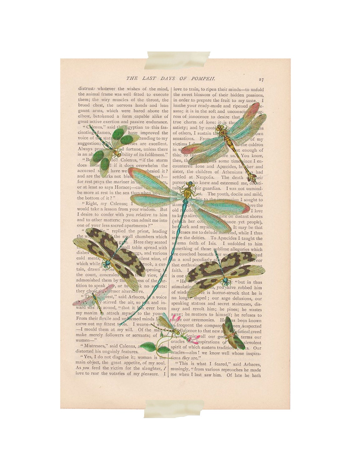 dictionary art vintage dragonfly DRAGONFLIES print - vintage art book page print - dragonfly dictionary art dictionary print art