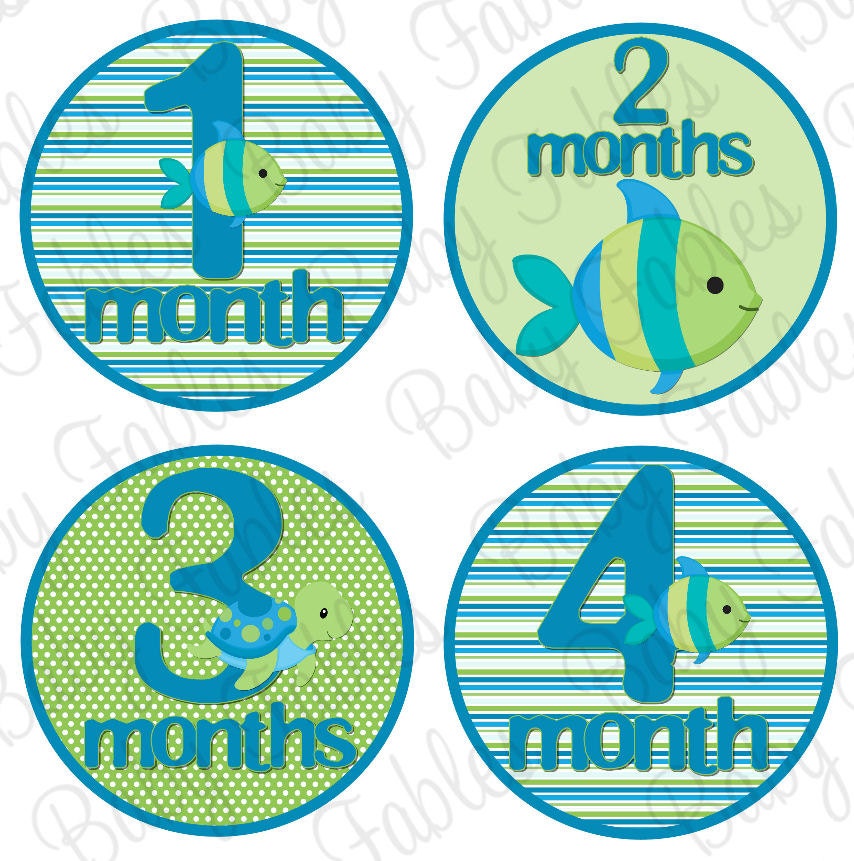 NEW Monthly Baby Onesie Stickers - Turtle Reef