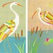 Colorful Crane Print Set 10" x 14"