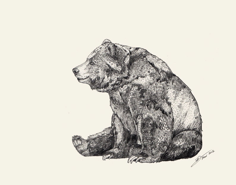 Bear  // A4 Print
