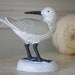 Sandpiper Shore Bird