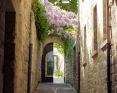 Landscape Photograph St Remy France  5" x 7" matted print