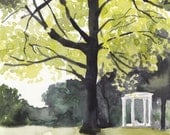 Reproduction Landscape Watercolor Painting Trees Overton Park
