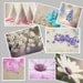 Everyday Life Mixed Set of 8 cards - Happy Birthday, Get well, Thank you and Blank Note Cards - envelopes included - Gifts