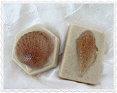 Seashell Themed Oatmeal Glycerin Soap