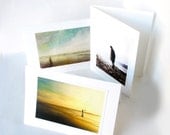 Images of YOUR Choice - Mix or Match - Three 5 x 7 Fine Art Greeting Cards from My Antarctica - Blank Inside - Archival Quality Prints