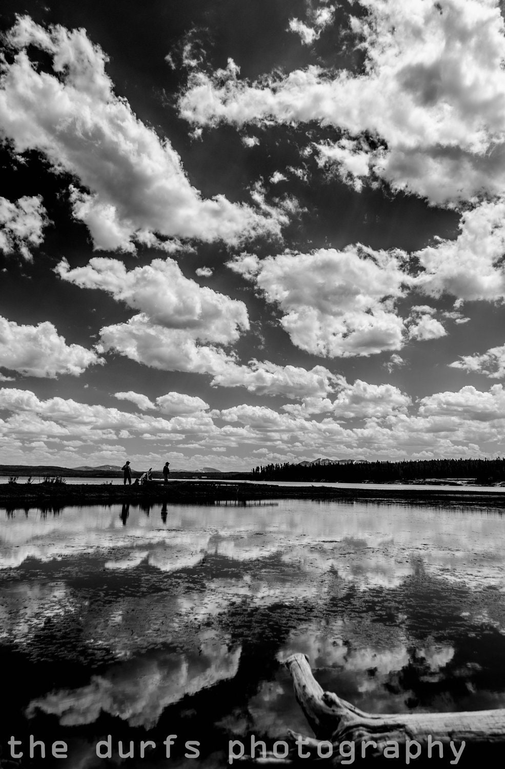 touch of nature - fine art photograph- 8x12- yellowstone lake - yellowstone national park - wyoming