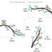 Koala Tree Branches Wall Decal by LittleLion Studio