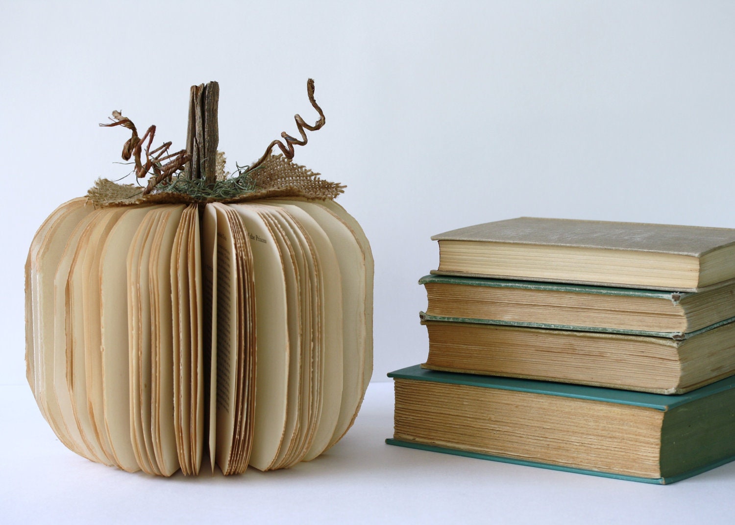medium BOOK PUMPKIN /// made to order