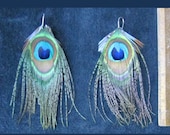 Peacock Eye Feather Earrings 7