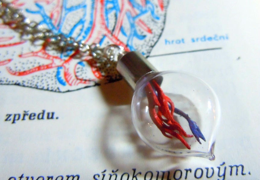 Nervus system pendant II.