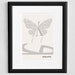 Illustration, James Joyce Quote, Fine Art Print, Art Poster, Ulysses, Butterfly Illustration, Butterfly Drawing, Molly Bloom, Bloomsday