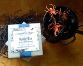 Pumpkins and Spiders Soap Set - All Five Scents Plus a Free Lip Balm