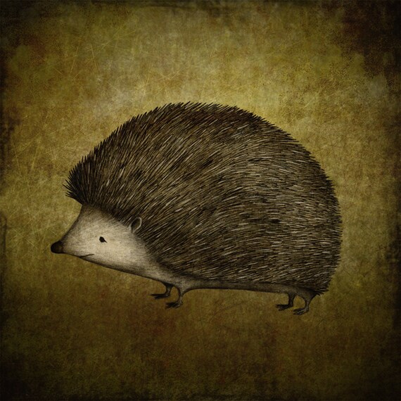 The Hedgehog -  Illustration print (size 4.7" x 4.7")