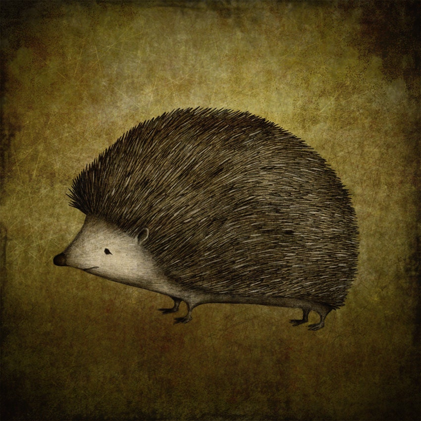 The Hedgehog - Illustration print (size 4.7" x 4.7")