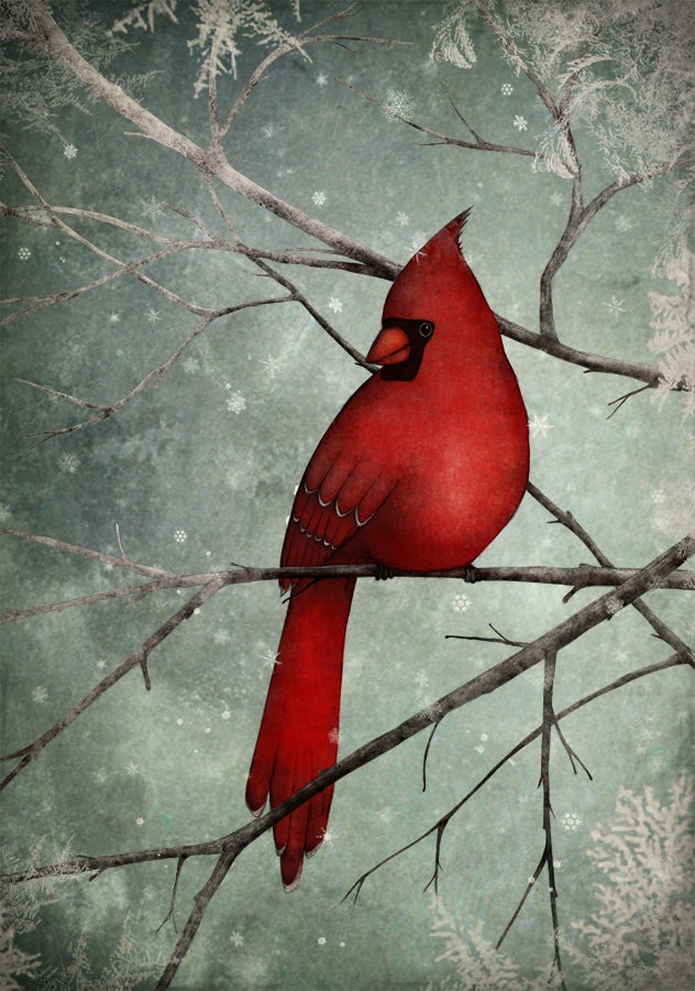 The Cardinal - Illustration print (size 7" x 5")