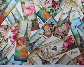 Paris,Eiffel Tower and roses printed heavy weight polyester viscose upholstery fabric-Half Yard