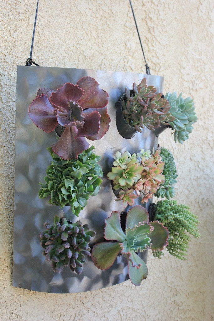 Incrediblly Cool Steel Metal Succulent Living Wall Art Sculpture frame includes 12 succulents to choose from great wedding gift