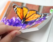 Notebook/Sketchbook/Journal - 4x6 - Monarch Butterfly - Original Photograph