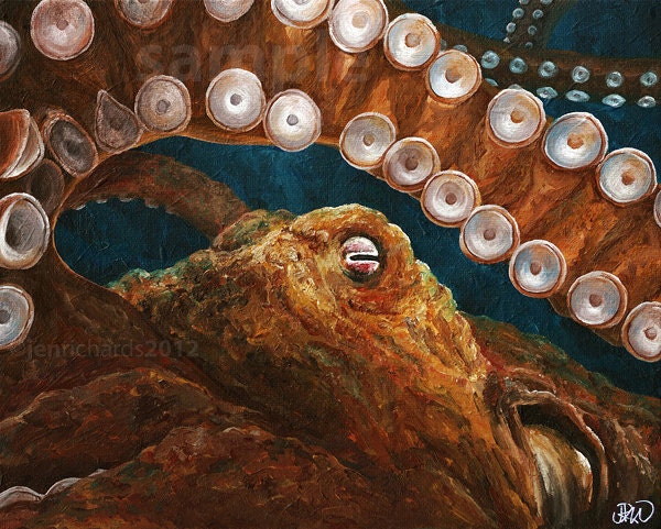 Octopus 8 x 10 print