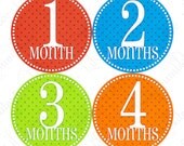 Monthly Onesie Stickers - Sage - Bright Pop of Colors - Baby Month Stickers Great Photo Prop Baby Shower Gift