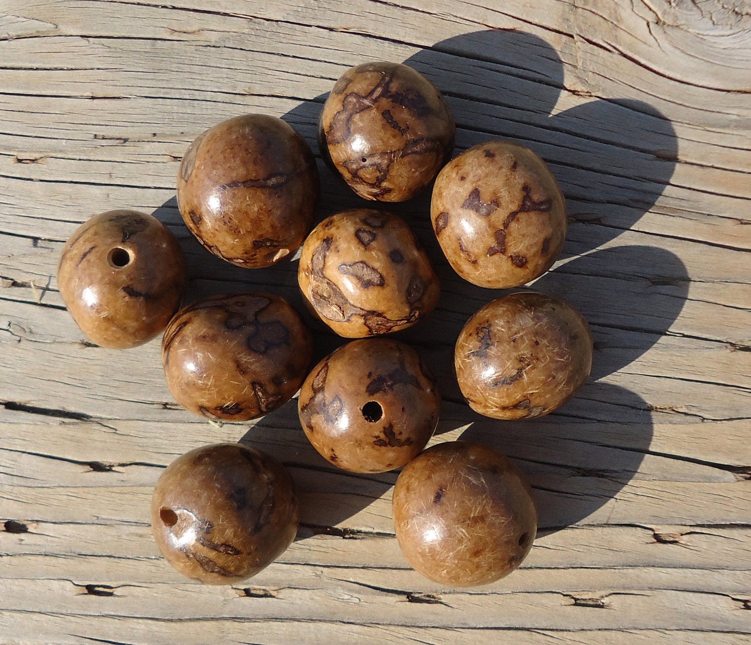 Buriti Nut