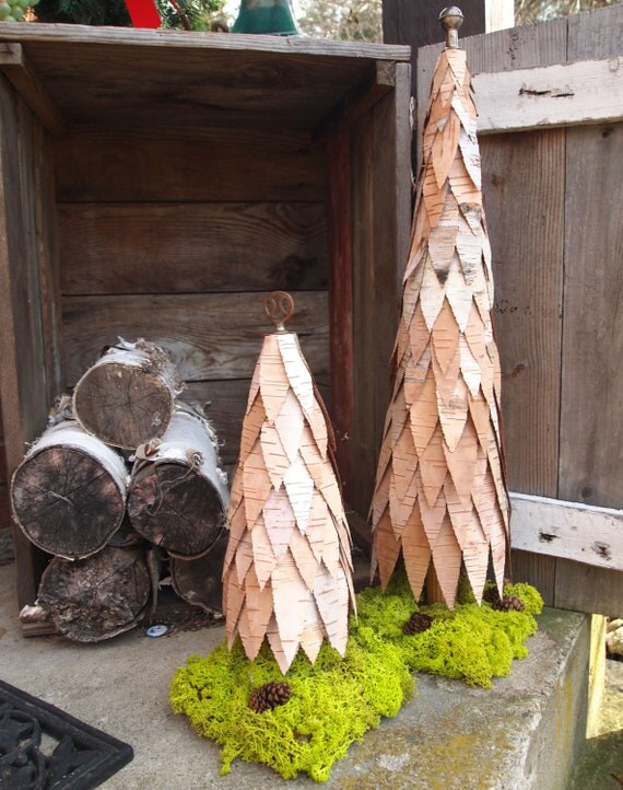 Large Birch Bark Tree