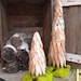 Large Birch Bark Tree