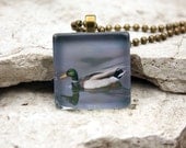 Glass Photo Pendant Necklace Mallard Duck Bird