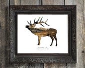 Elk Silhouette In Bark : Nature Theme Eco Decor, Woodland Animal Photography - Rustic Lodge, Home Antler Art, Wild Pulp