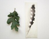 Bookmark - Black and white striped feather reading poetry book study for him - one bookmark