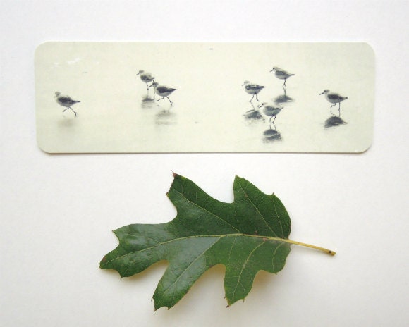 Bookmark - Shore birds black and white seashore gray minimalist - one bookmark - GrainnePhotography