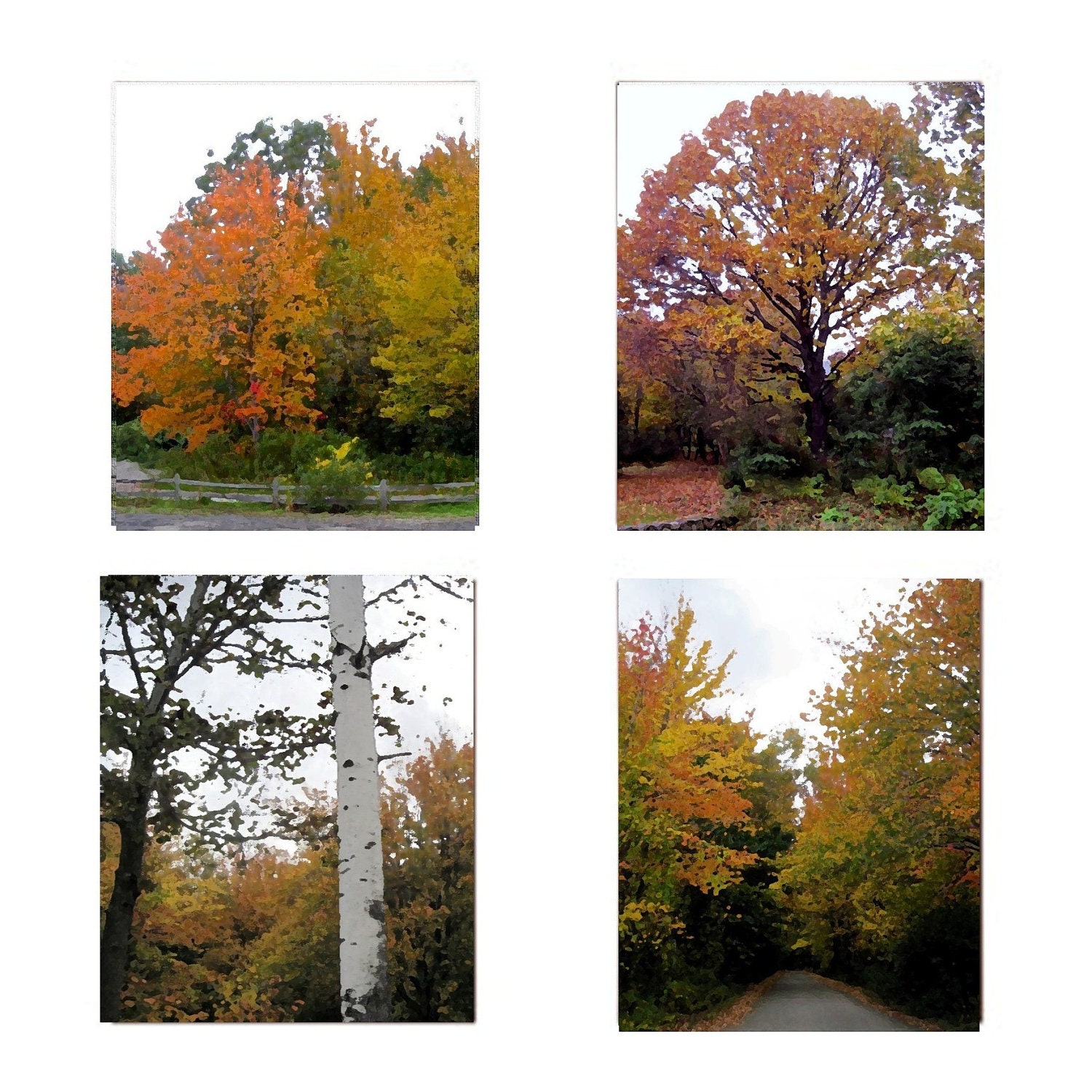 New England Autumn Foliage, GIft SET OF FOUR 8 x 10 Painted  Photographs, Autumnal Scenes, The Maine View, Rustic Woods