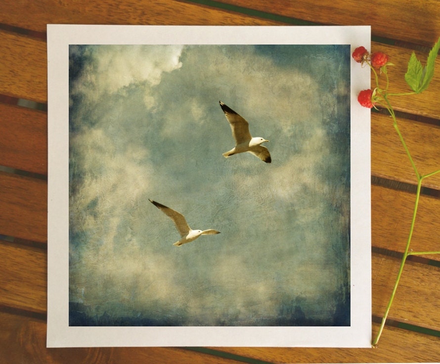 Bird photography, dreamy summer mood, modern Scandinavian art, seagulls in the sky, 8x8