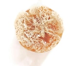 LOOFAH SOAP, Iced Umber, Scented in Minty Eucalyptus, Vegetable Based, Handmade