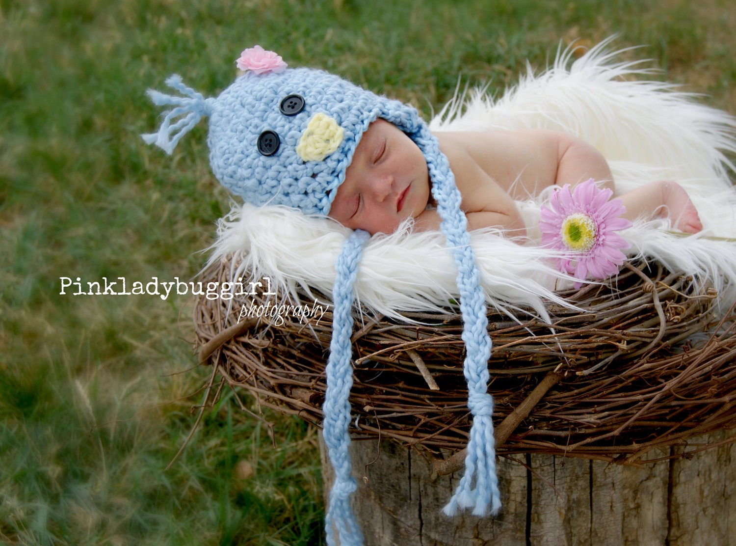 the blue bird hat baby photograph prop must have.  READY TO SHIP.  100% organic cotton