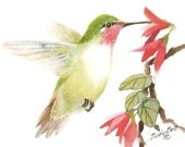 Hummingbird Stationery Note Cards Watercolor Painting - judithbelloriginals