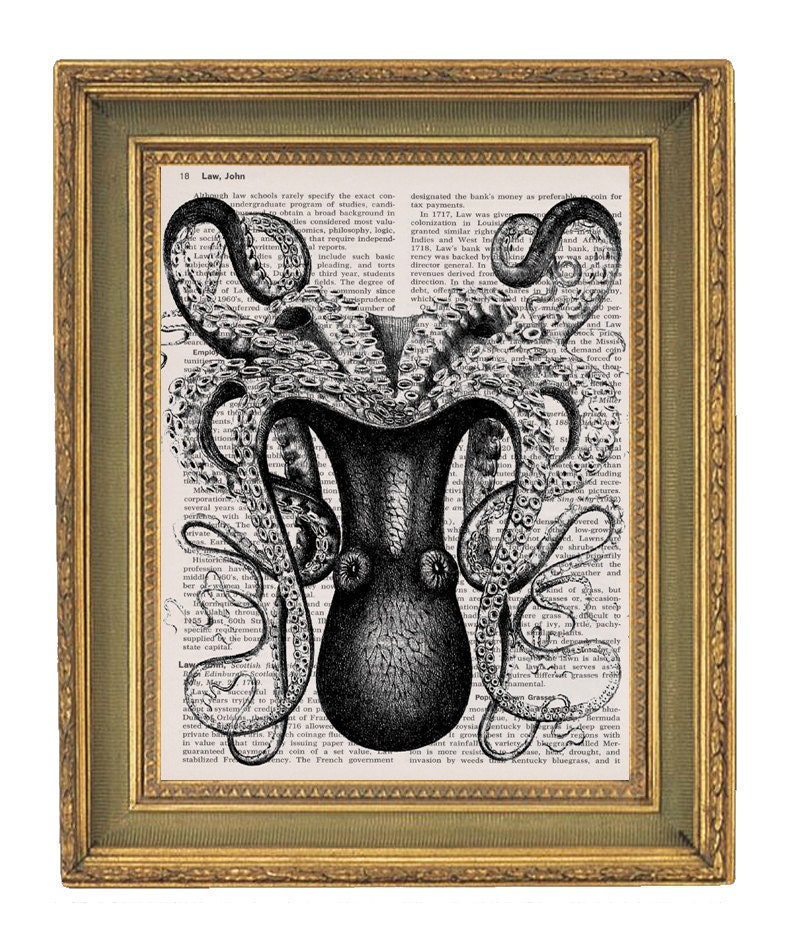 Vintage Book  Dictionary Art  Print 1880s  -Large Black Octopus   7x10
