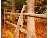 8x10 - rustic wall art - Fall art print - warm autumn colors - fall leaves - country fence post - Rustic Fall - fine art photograph