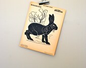 vintage shooting target: jack rabbit with sporting goods stamp