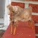 Primitive Cow Doll - Shelf Sitter or Tuck - For your Hutch, Cupboard or Mantel